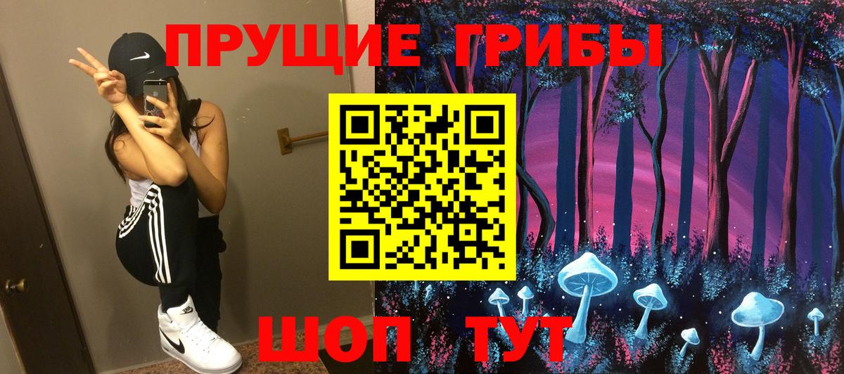 Кореновск  Псилоцибиновые грибы GOLDEN TEACHER  Вход с VPN 