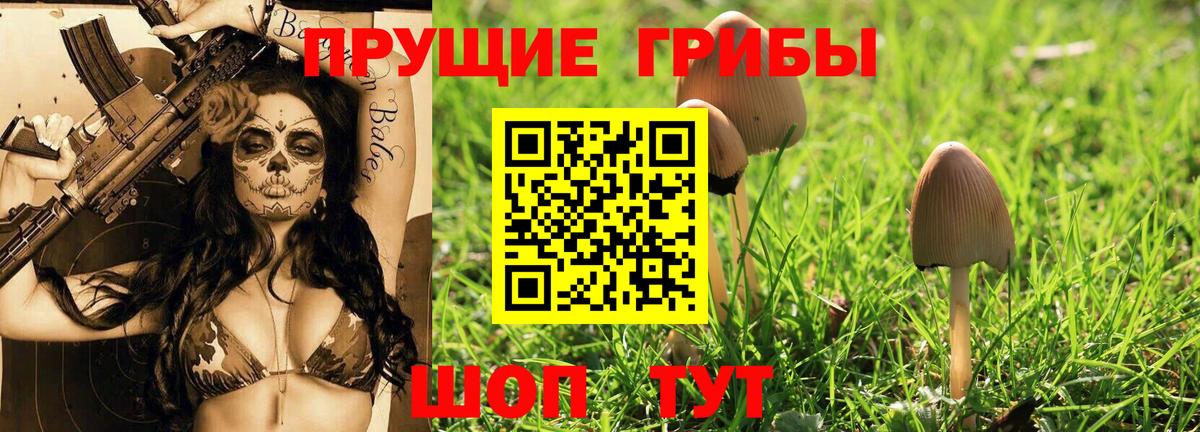 Галлюциногенные грибы GOLDEN TEACHER Кореновск
